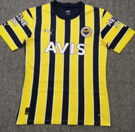 Fenerbahce Home 22/23